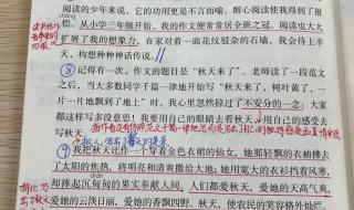 我的长生果课文笔记