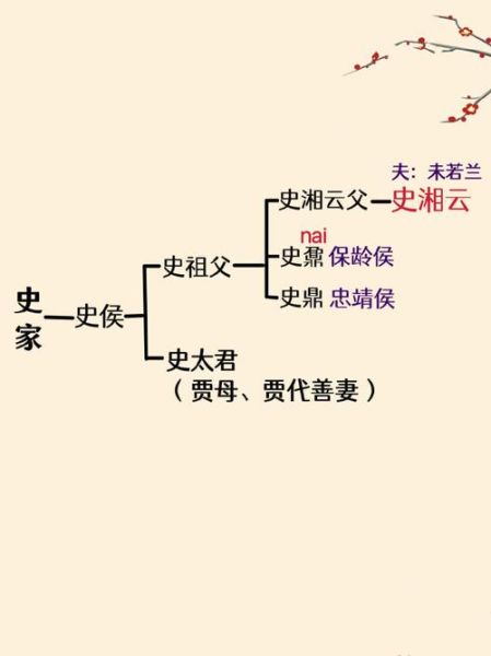 红楼梦15回贾府人物关系图解读（红楼梦15回中的人物关系）