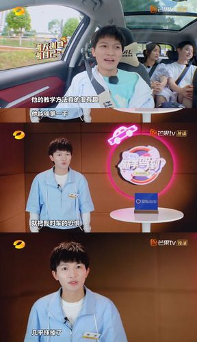 新手驾到综艺完整版